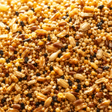 Зерно и семена